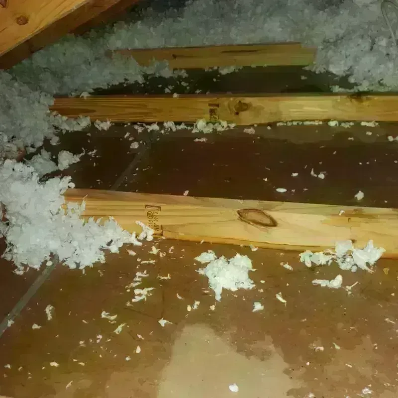 Attic Water Damage in Osseo, WI