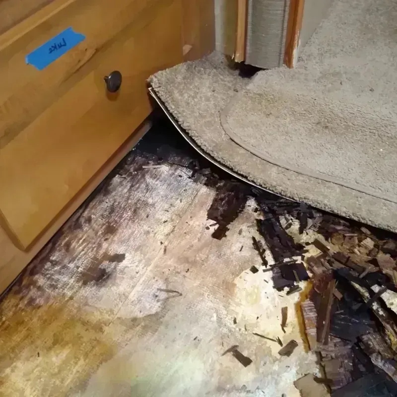 Wood Floor Water Damage in Osseo, WI